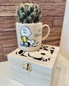 新たな作品です。マグカップに水抜き穴を開けサボテン植えました、可愛い感じに仕上がりスヌーピー好きにわたまりません。